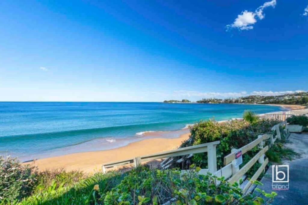 Absolute Beachfront Surf Unit In Terrigal/Wambi Wamberal Eksteriør bilde