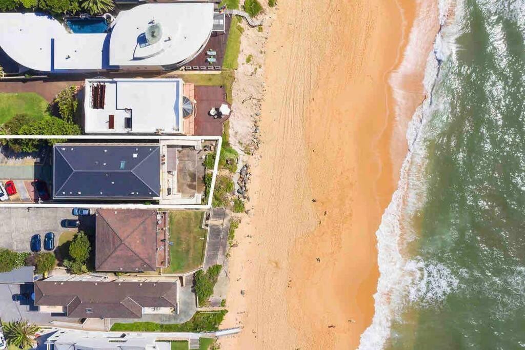 Absolute Beachfront Surf Unit In Terrigal/Wambi Wamberal Eksteriør bilde